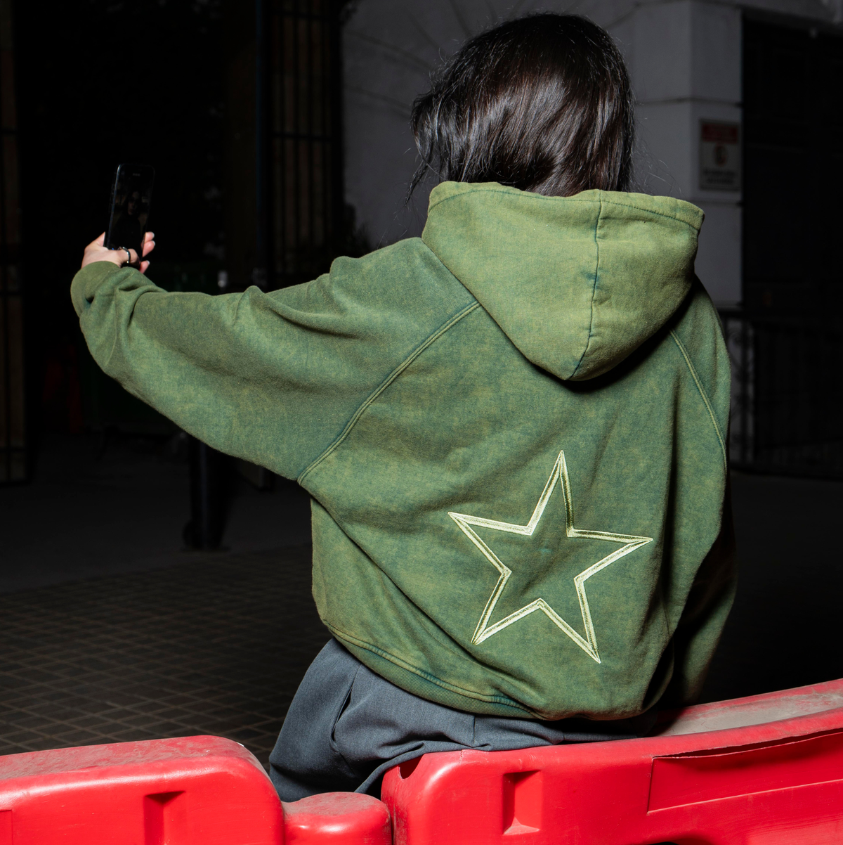 Poleron Verde Desgastado estrellas bordadas - Boxy